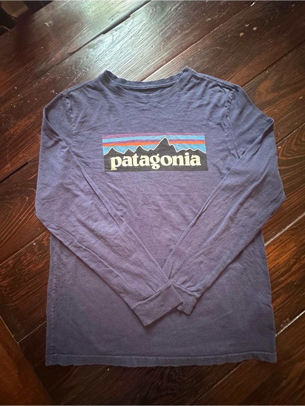 Patagonia Boys Navy Long-Sleeve Crewneck with Multicolor Mountain Logo